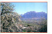 Monte Corrasi